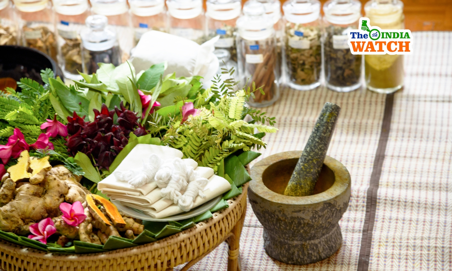 Feasibility Study to Start an Ayurvedic Spa in India